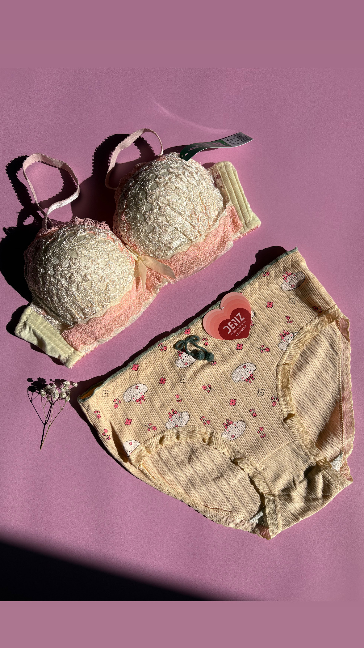 ست پیشنهادی سوتین پرنسس و‌شورت عروسکی🩵